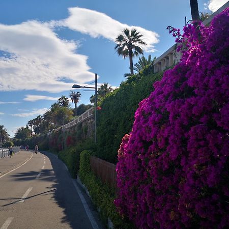 Petit Avec Classe Sanremo Exteriör bild