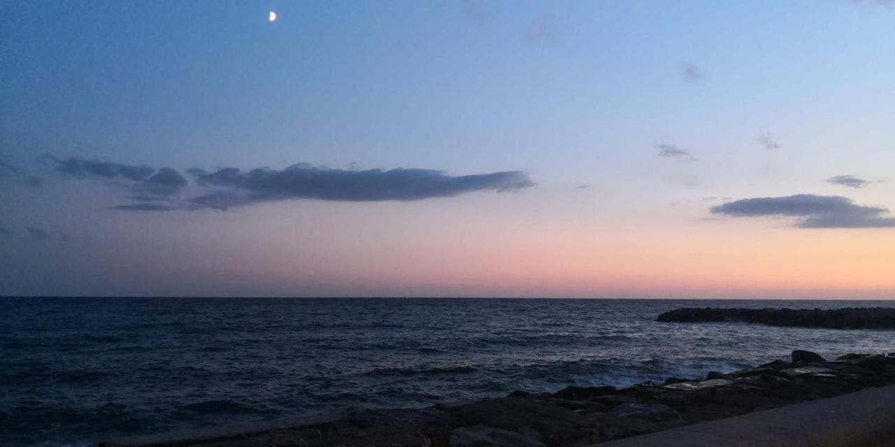 Petit Avec Classe Sanremo Exteriör bild